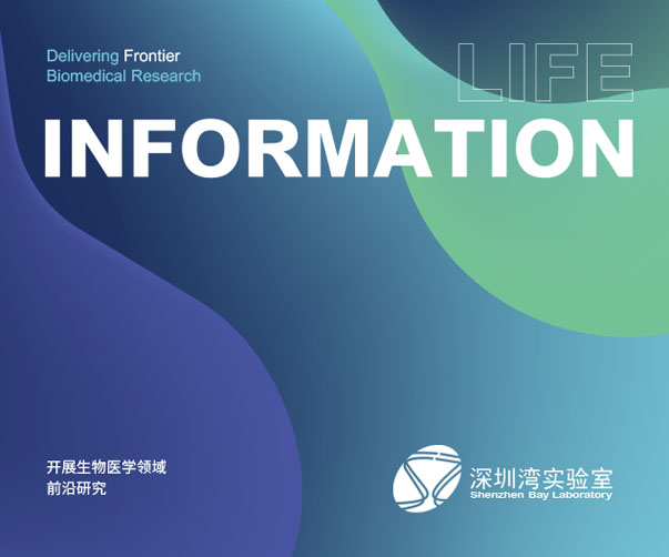 上海logo設(shè)計公司論酒店傳統(tǒng)與現(xiàn)代設(shè)計的完美融合