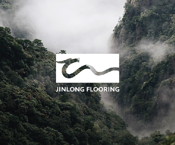 茶類包裝設(shè)計(jì)中的可視層次和視覺(jué)重點(diǎn)